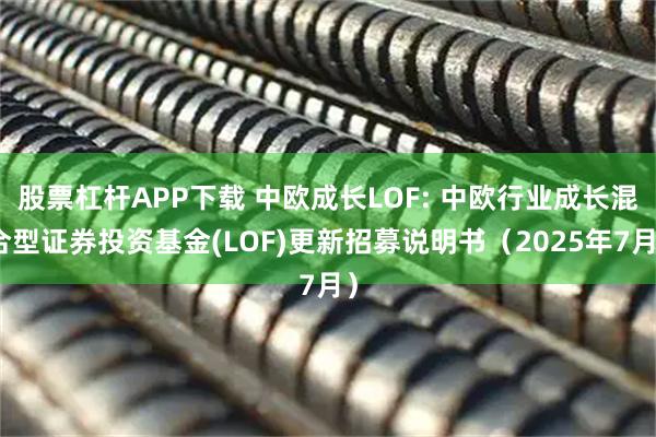股票杠杆APP下载 中欧成长LOF: 中欧行业成长混合型证券投资基金(LOF)更新招募说明书（2025年7月）