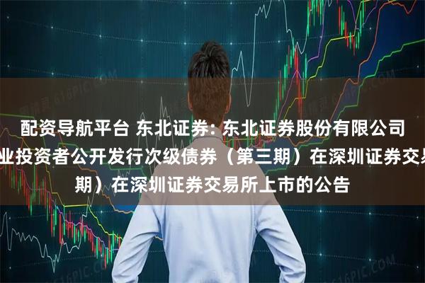 配资导航平台 东北证券: 东北证券股份有限公司2025年面向专业投资者公开发行次级债券（第三期）在深圳证券交易所上市的公告