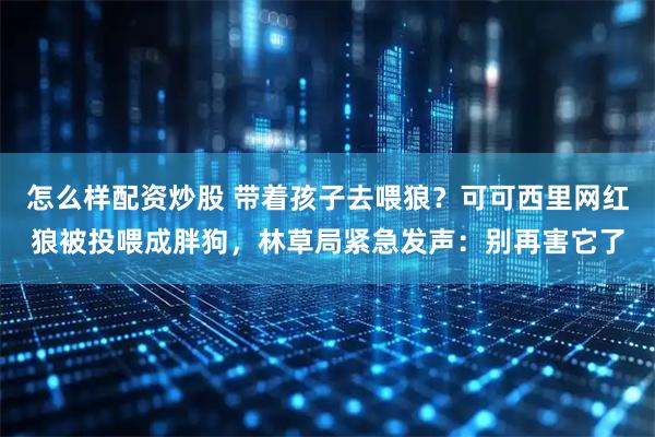 怎么样配资炒股 带着孩子去喂狼？可可西里网红狼被投喂成胖狗，林草局紧急发声：别再害它了