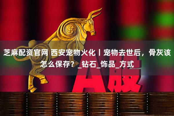 芝麻配资官网 西安宠物火化丨宠物去世后，骨灰该怎么保存？_钻石_饰品_方式